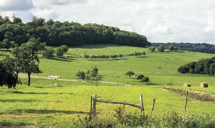 Des parcelles agricoles