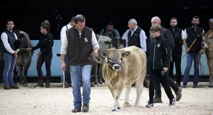 Vénus, du Gaec Beauregard, en présentation lors de la vente aux enchères.