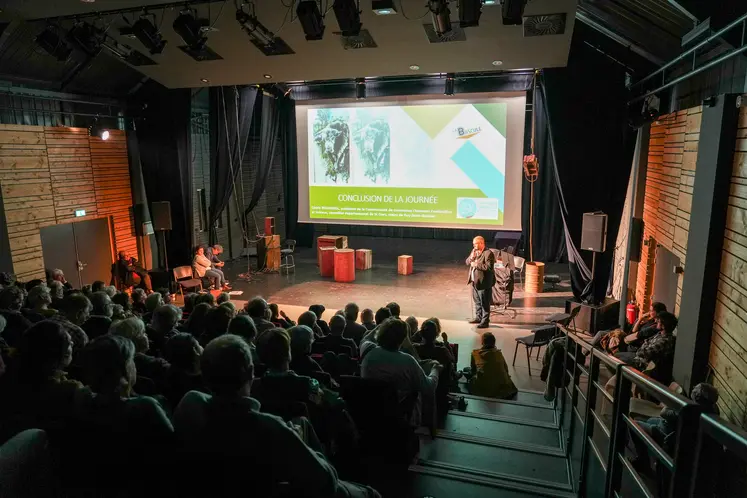 salle de cinéma remplie