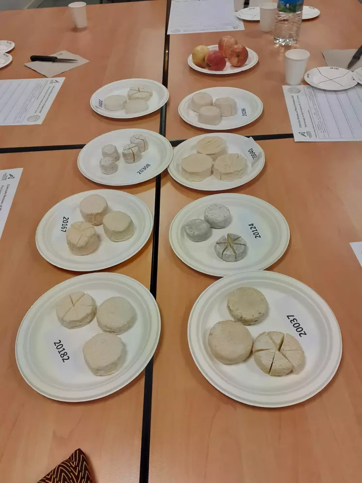 Dégustation de fromages