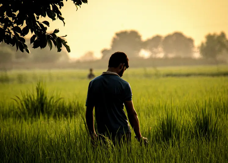 homme seul triste agriculteur bien-être travail agricole