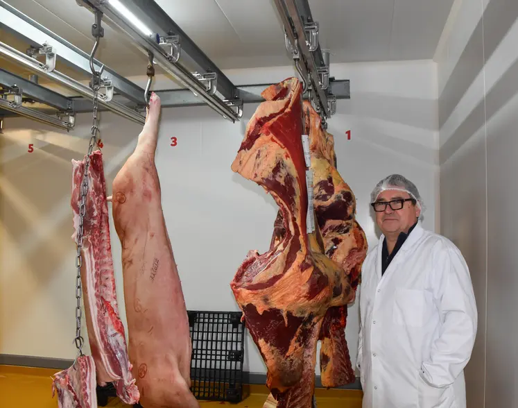 Un homme avec une blouse et une charlotte alimentaire devant des carcasses de boeuf et de porcs suspendus par des crochets.