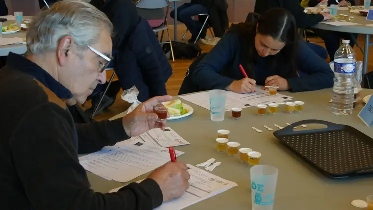 jury goutant et notant du miel autour d'une table