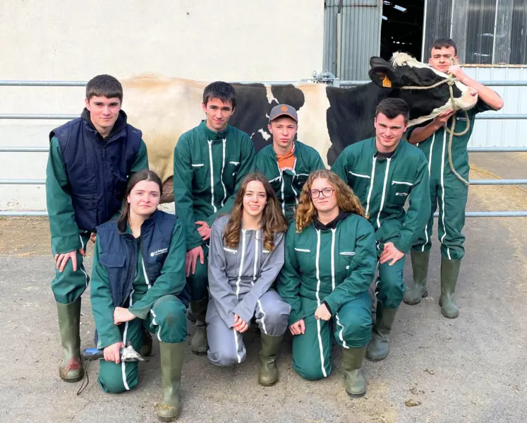 étudiants marmilhat trophée international de l'enseignement agricole vache