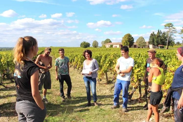 Groupe de personnes suivant une formation dans un vignoble par un temps ensoleillé