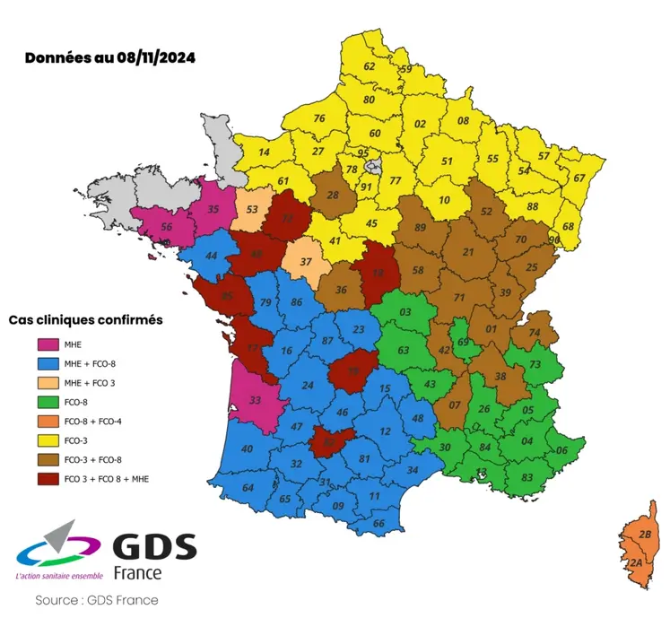 carte des cas clinique fco et MHE