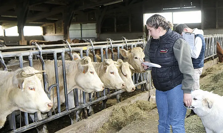 Les élèves en plein concours de pointage sur la ferme de Benjamin Boulard