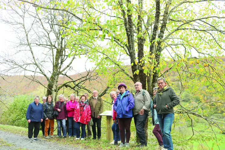 Un groupe de marcheurs le long du chemin arboré