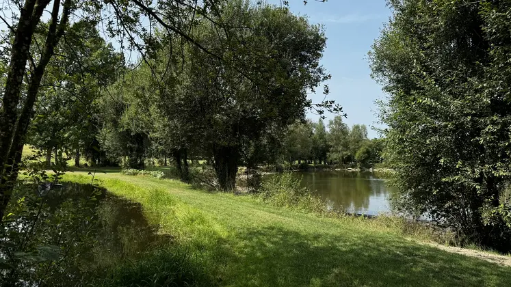 un étang