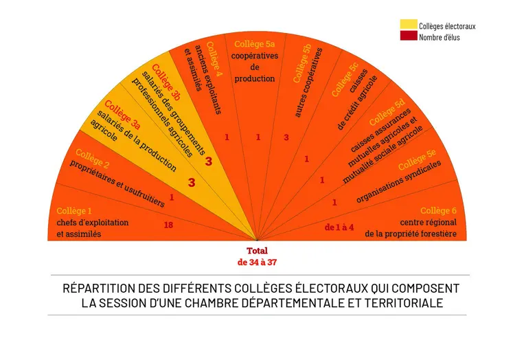 Schéma de la répartition des différents collèges électoraux qui composent la session d'une chambre d'agriculture départementale et territoriale.