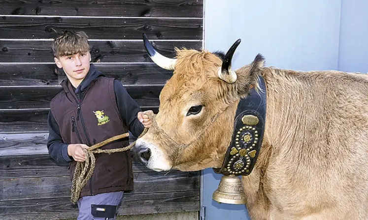 La sélection Aubrac à la grande halle d'Aumont-Aubrac