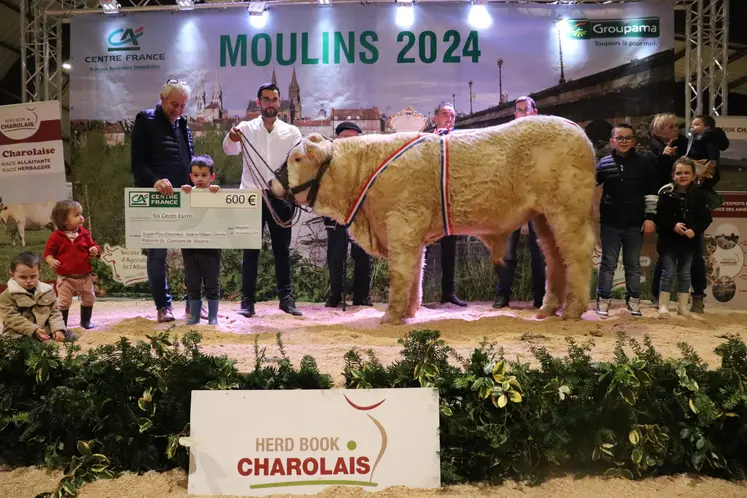 Un veau charolais se trouve sur une estrade avec son ruban tricolore et son éleveur qui a reçu un prix