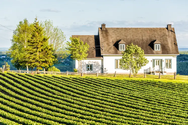 Paysage de campagne avec un champ cultivé et une maison et des arbres en arrière plan