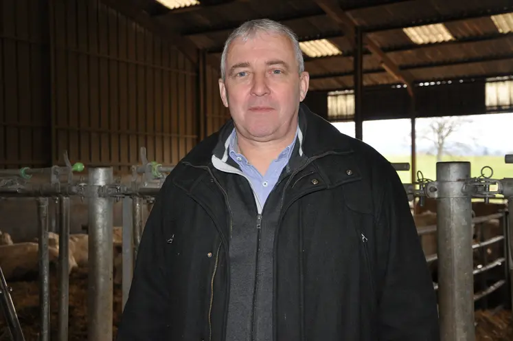 Homme dans une stabulation de vaches de races à viande charolaise.