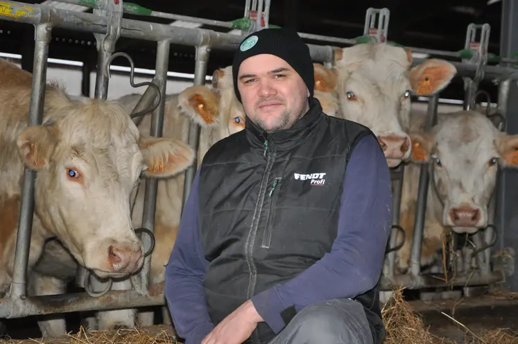 Homme avec un bonnet dans une stabulation avec des vaches de race charolaise.