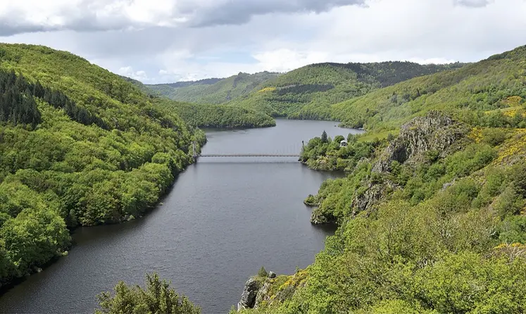 Une rivière coule au milieu de collines verdoyantes