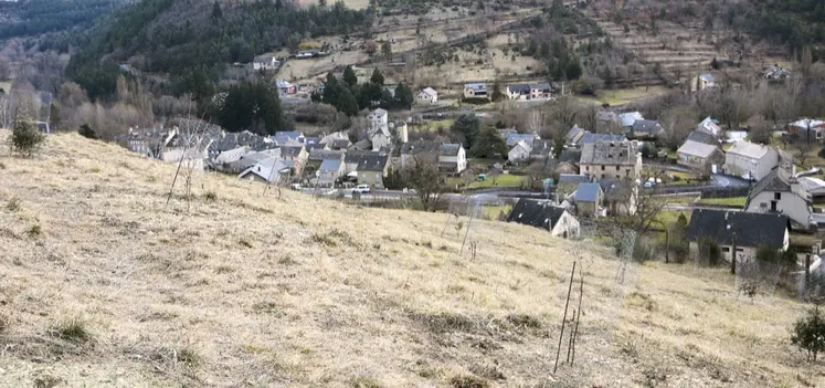 La truffière d'Alexandre Boudon, surplombant le Monastier