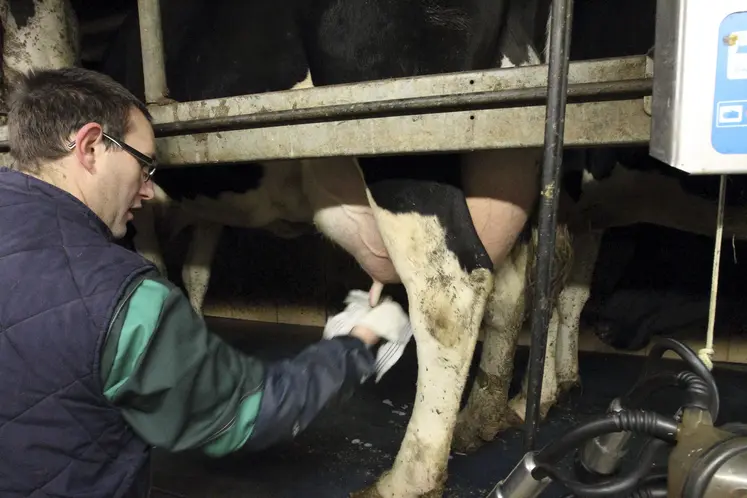 En agriculture, l’emploi est un défi crucial qu’il faudra relever !