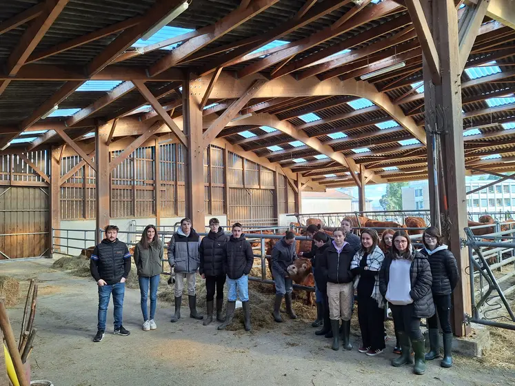 groupe de personnes dans une stabulation