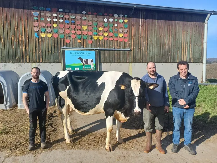 Les éleveurs et Vincent Brunel, conseiller en élevage et animateur de l'association Haute-Loire Holstein, avec Nounou d'Amblard. 