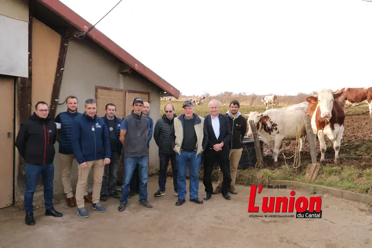 Un groupe de personnes à côté de deux vaches à droite