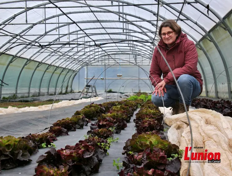 Maraichère, accroupie devant des plants de salade