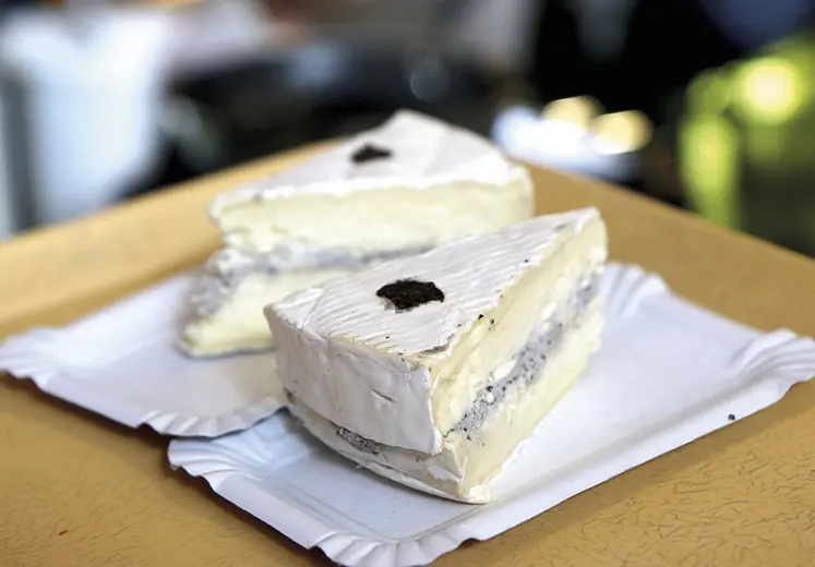 Du brie truffé pour les gourmets