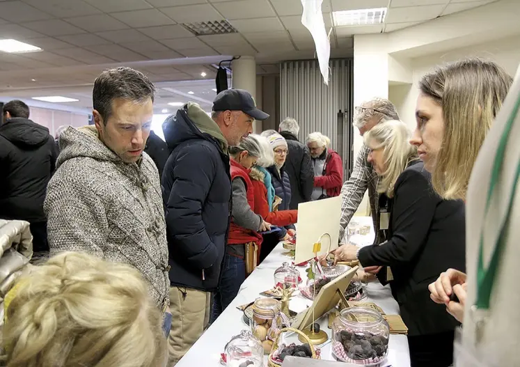 Le marché de la truffe bat son plein