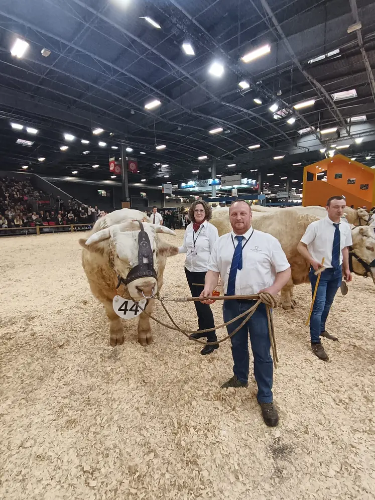 Saturday, vache de race charolaise et ses propriétaires de l'Earl Astre Benoît dans le Puy-de-Dôme.