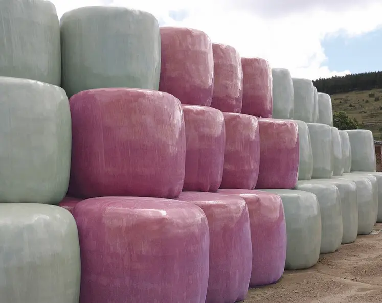 Des balles enrubannées de rose