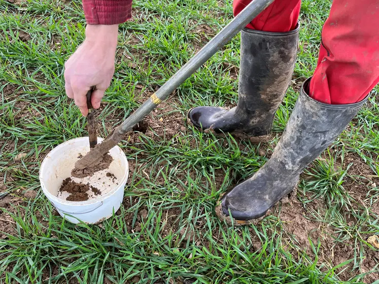 analyse reliquat azote test sol agriculture