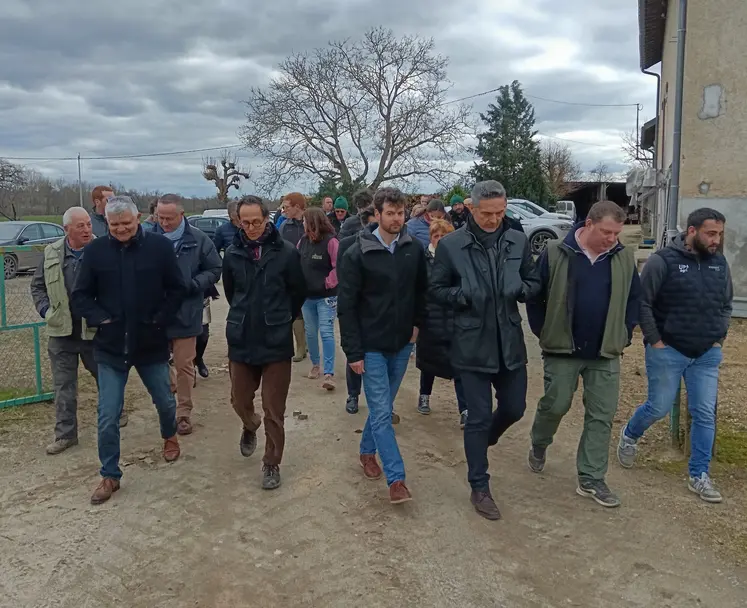 un groupe de personnes marche