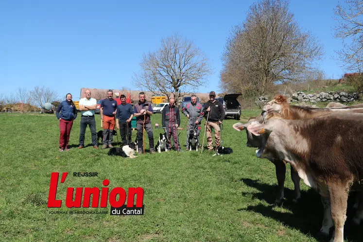 Des vaches et des personnes avec à leurs pieds des chiens.