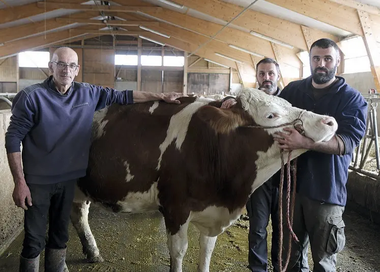 Sicile et ses éleveurs, qui participent pour la première fois au concours des Miss laitières