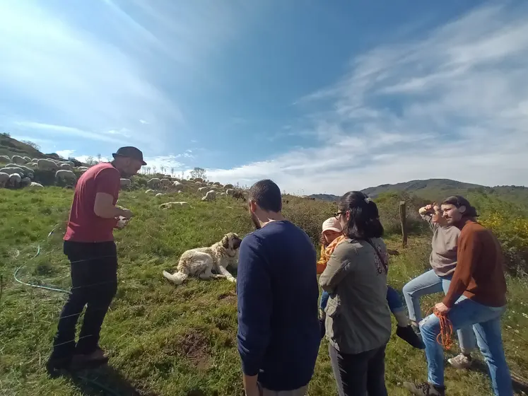 Ferme ovine