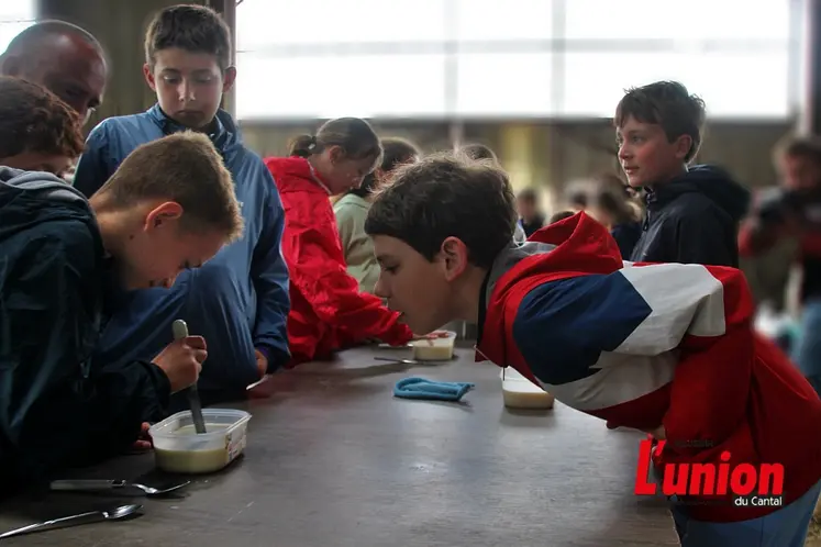 Ateliers pour enfants autour du caillé sur une ferme ouverte.