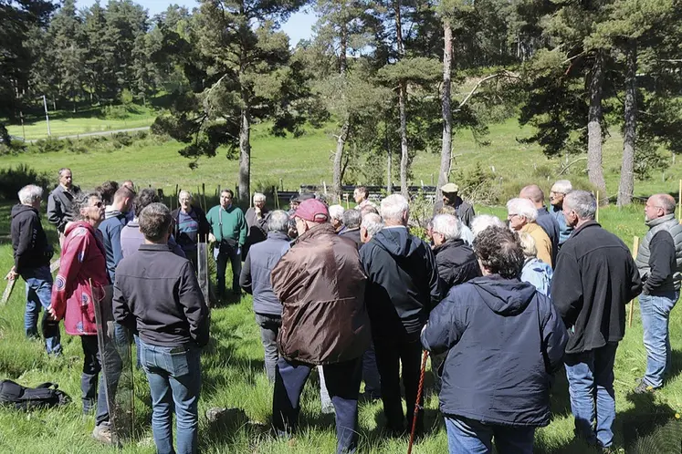 L'ASLG des forêts de Terre de Peyre réunie sur une parcelle