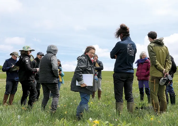 Le jury dans les prairies