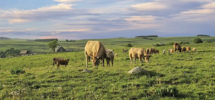 L'Aubrac et ses paysages