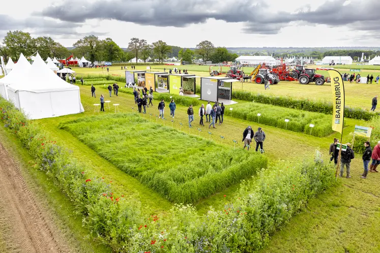 parcelle d'herbe