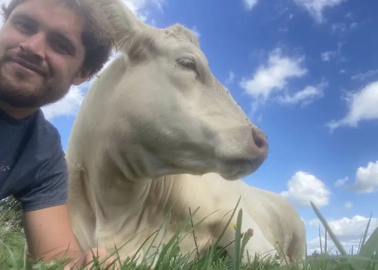 Selfie de Gauthier Hamot aux côtés d'une de ses vaches.