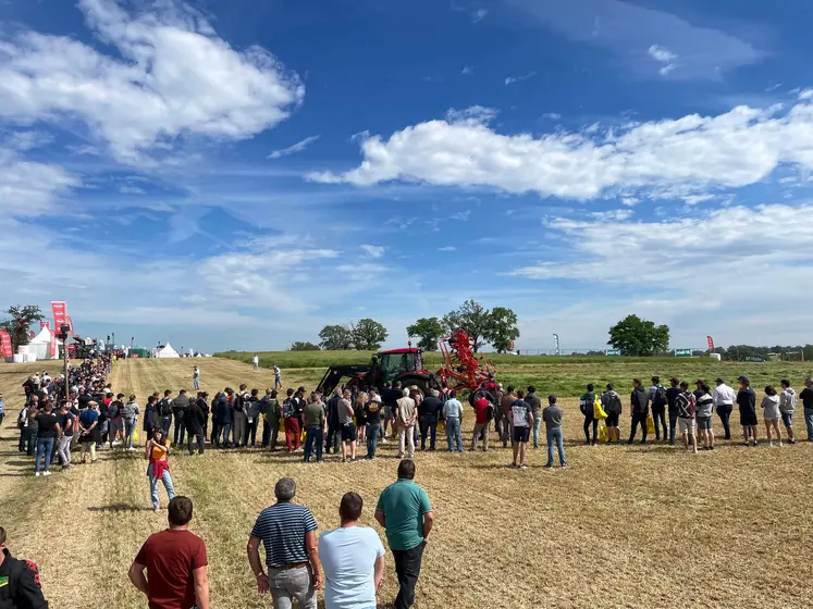 une foule sur des parcelles