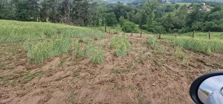 dégâts grêle