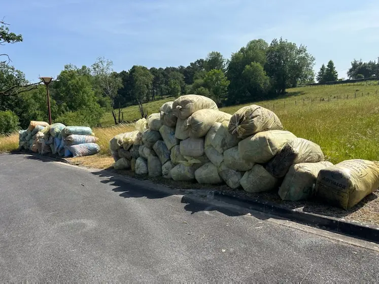 récolte de ficelles et filets
