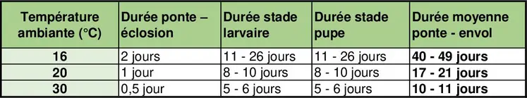 La durée du cycle est étroitement liée à la température ambiante, plus il fait chaud, plus la dynamique de contamination s’accélère.