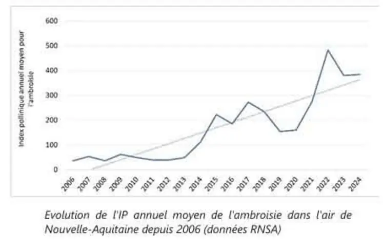 graphique montant l'augmentation de l'index pollinique annuel moyen de l'ambroisie dans l'air en Nouvelle-Aquitaine depuis 2006 (données RNSA).