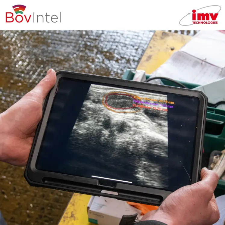 IMV TECHNOLOGIES – Bovintel Fertility