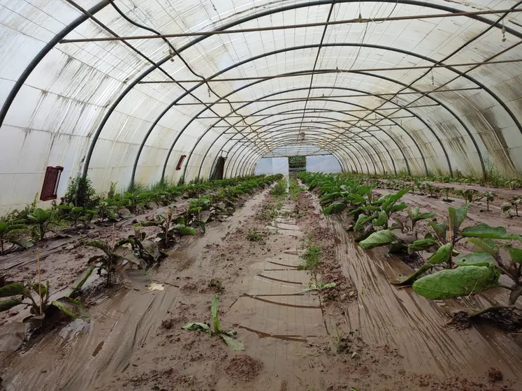 innondation sous une serre