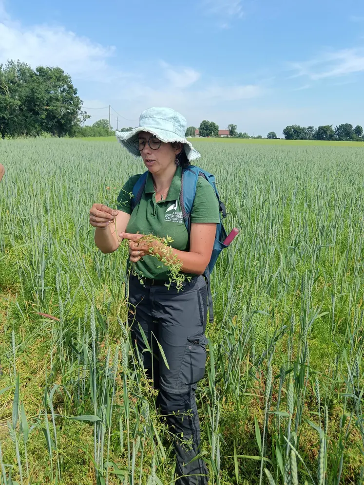 une femme dans un champ cultivé