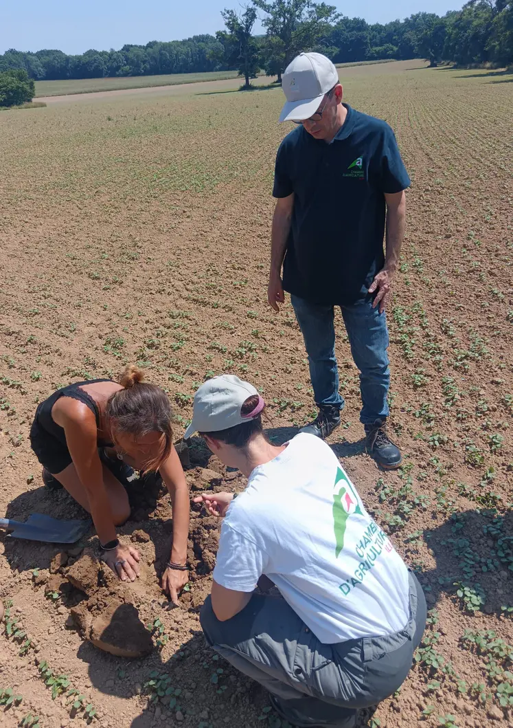 trois personnes observent l'enracinement des plants dans une culture